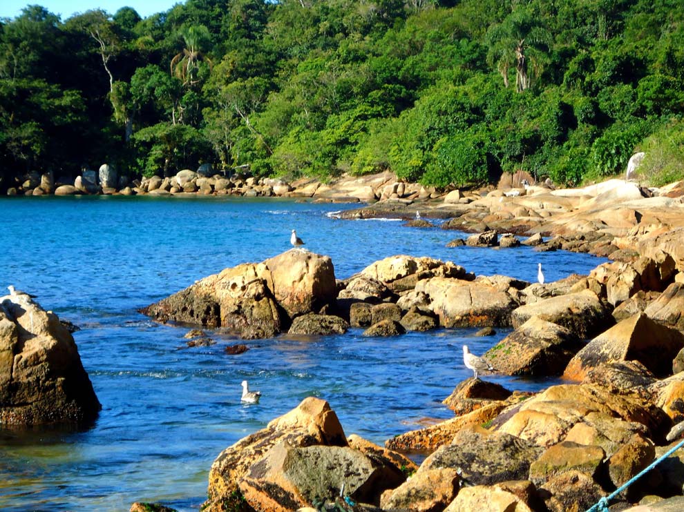 Praia de Taquara / SC