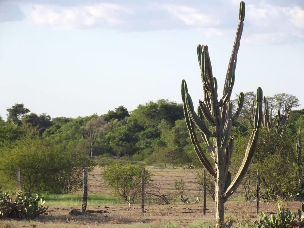 Santo Antônio das Missões / RS
