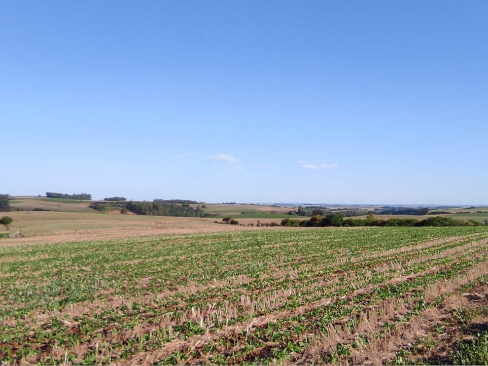 Santo Antônio do Planalto / RS